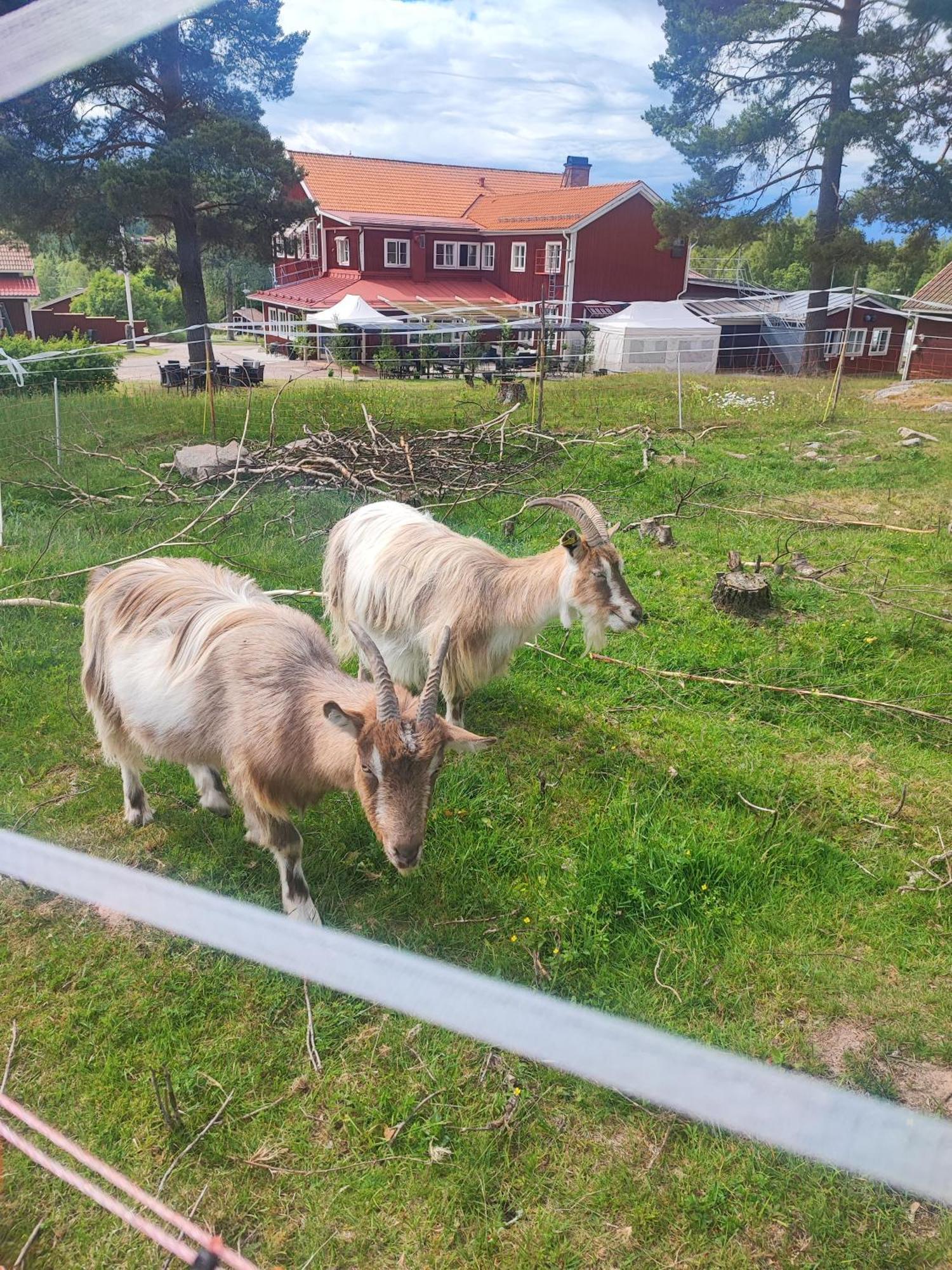 Sjugare Gard Bed & Breakfast Leksand Exteriér fotografie
